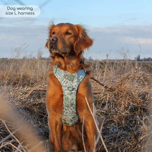 Disney© Tough Trails™ Harness - 100 Aker Wood