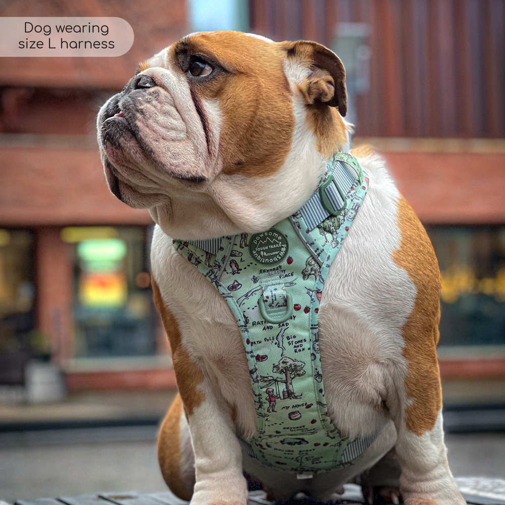 Disney© Tough Trails™ Harness - 100 Aker Wood