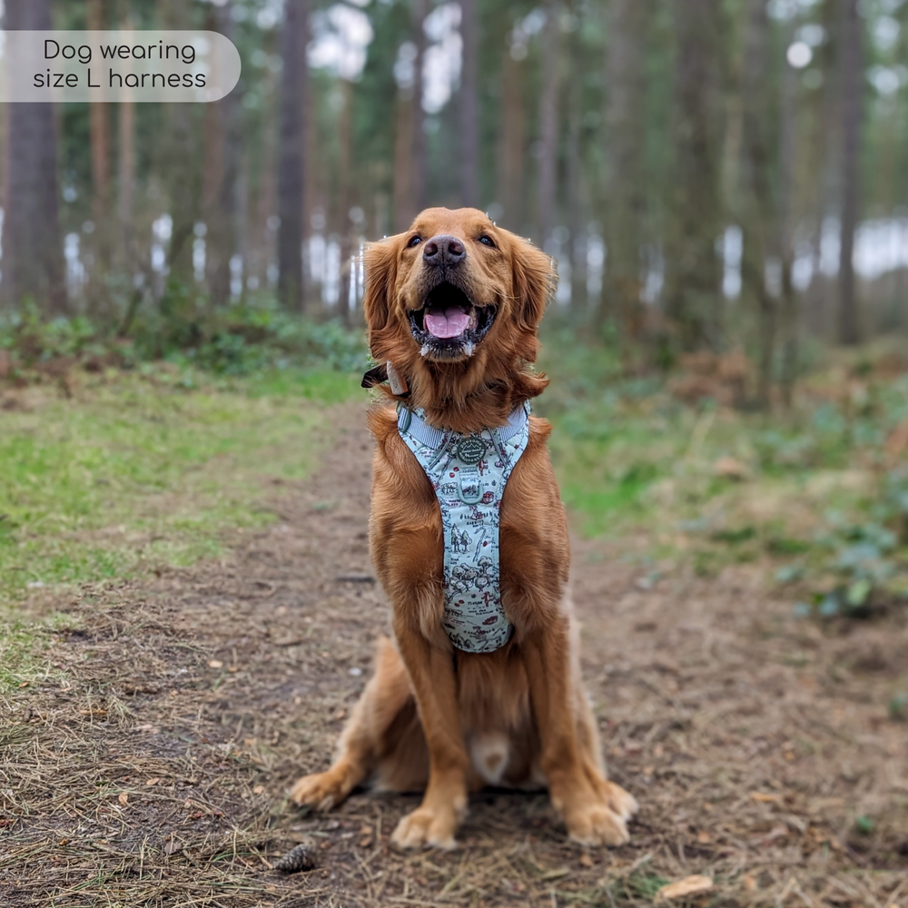 Disney© Tough Trails™ Harness - 100 Aker Wood