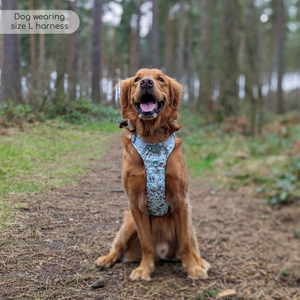 Disney© Tough Trails™ Harness - 100 Aker Wood