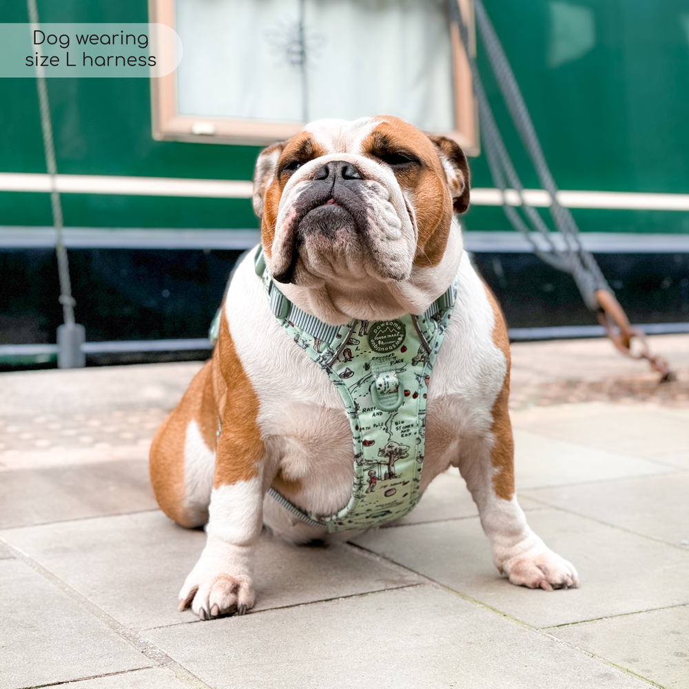 Disney© Tough Trails™ Harness - 100 Aker Wood