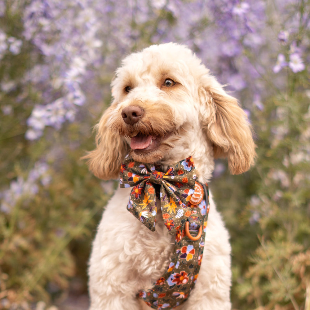 Sailor Bow - Rust & Bloom