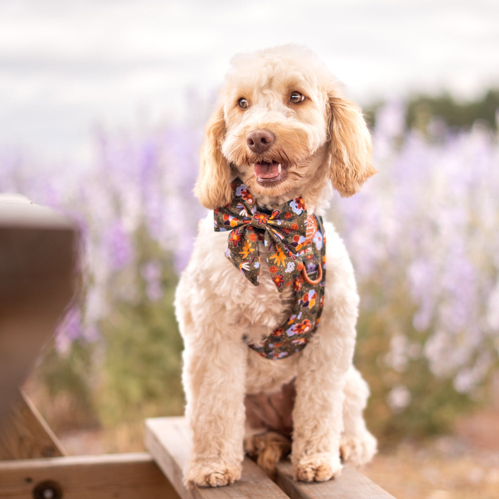 Sailor Bow - Rust & Bloom