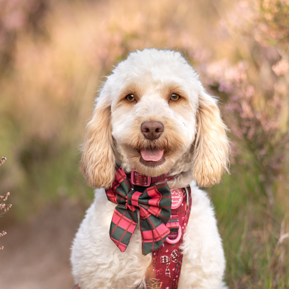 Sailor Bow - Bows Of Joy (Gingham)