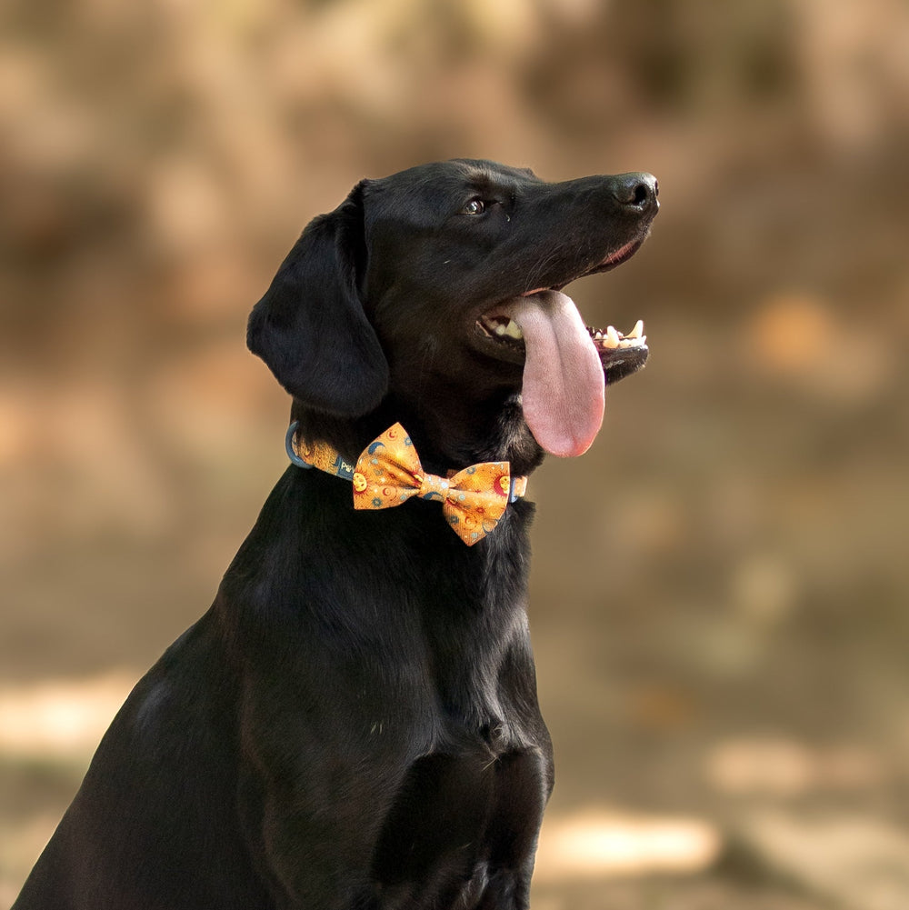 Bow Tie - Celestial Spirit