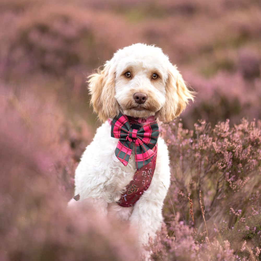 Sailor Bow - Bows Of Joy (Gingham)