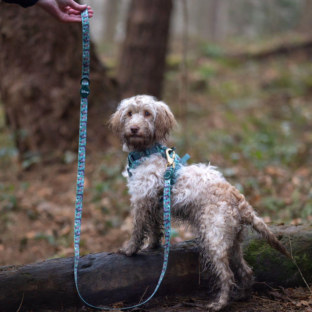 Disney© Disney©Lead - Jungle Book