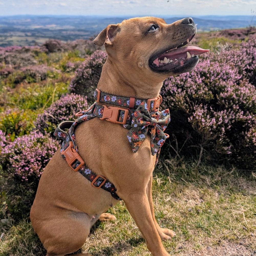 Sailor Bow - Rust & Bloom