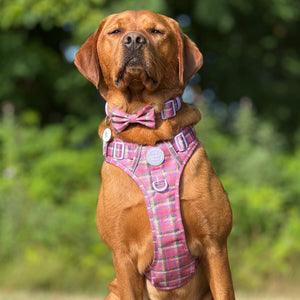 Bow Tie - Tweed Sunset