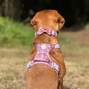 Bow Tie - Tweed Sunset