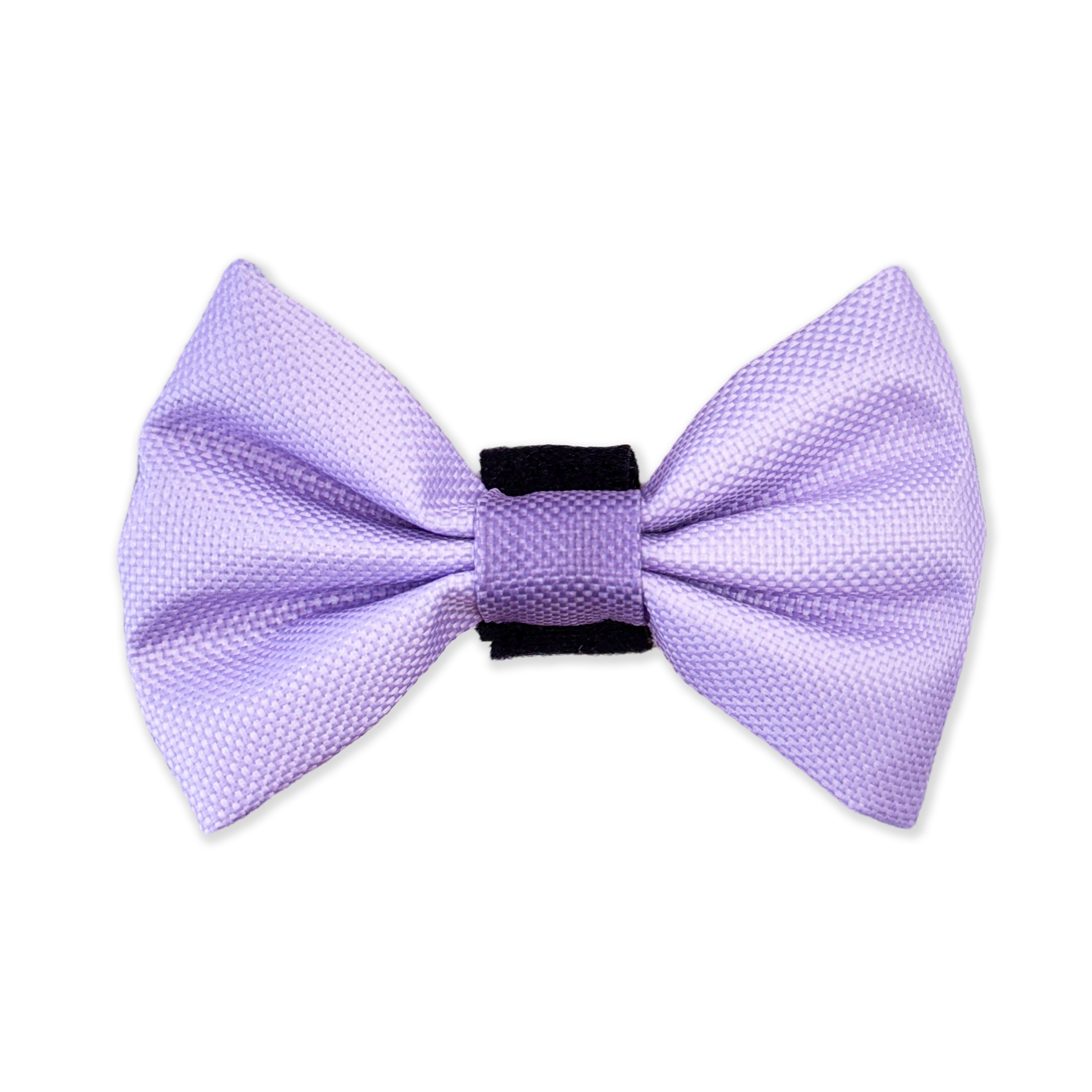 Bow Tie - Walkies Ready® - Lavender Lilac
