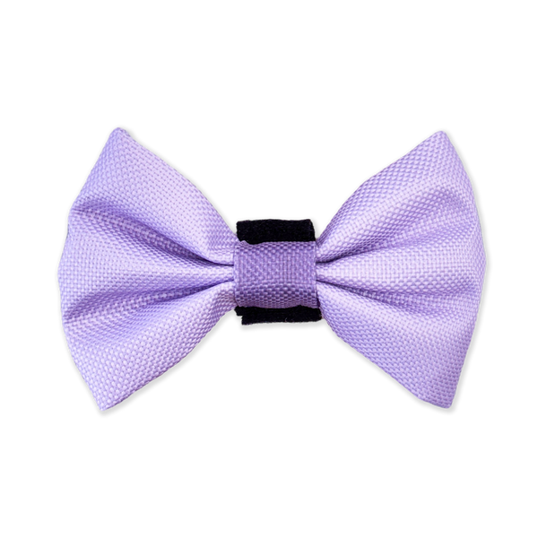 Bow Tie - Walkies Ready® - Lavender Lilac