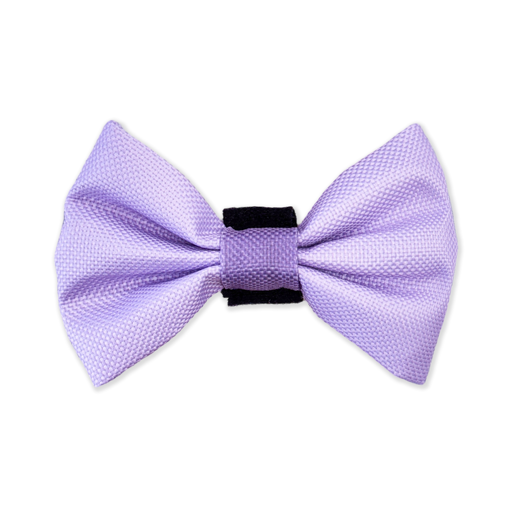 Bow Tie - Walkies Ready® - Lavender Lilac
