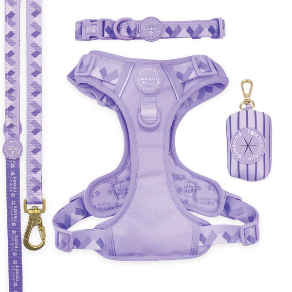 Walkies Ready Lavender Lilac Ultimate Bundle