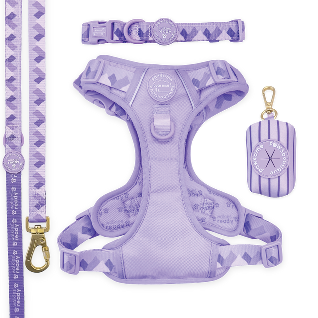 Walkies Ready Lavender Lilac Ultimate Bundle