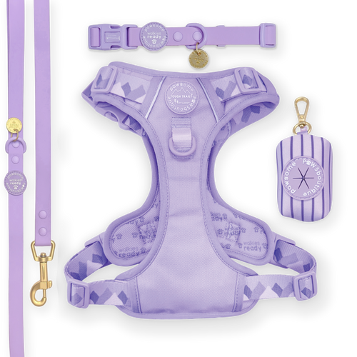 Walkies Ready Lavender Lilac Waterproof Bundle