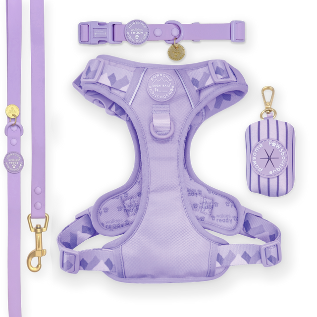 Walkies Ready Lavender Lilac Waterproof Bundle