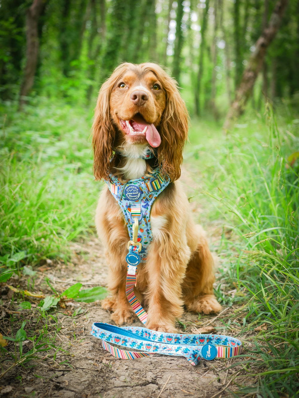 Disney© Lead - Stitch's Fruit Fiesta