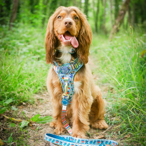 Disney© Lead - Stitch's Fruit Fiesta