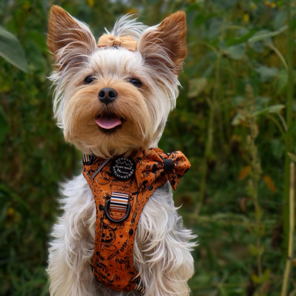 Disney© Bow Tie - Halloween