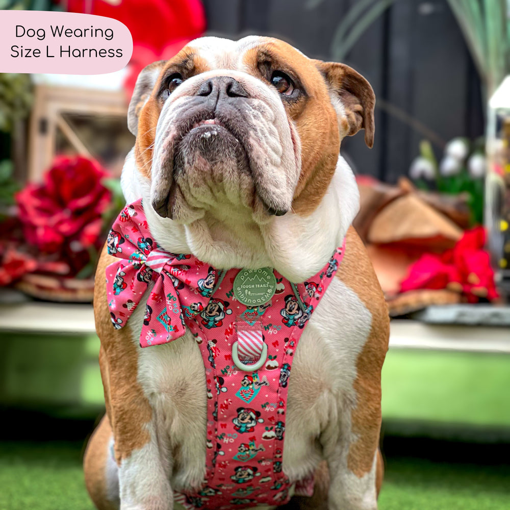 Disney© Tough Trails™ Harness -  Minnie's Christmas