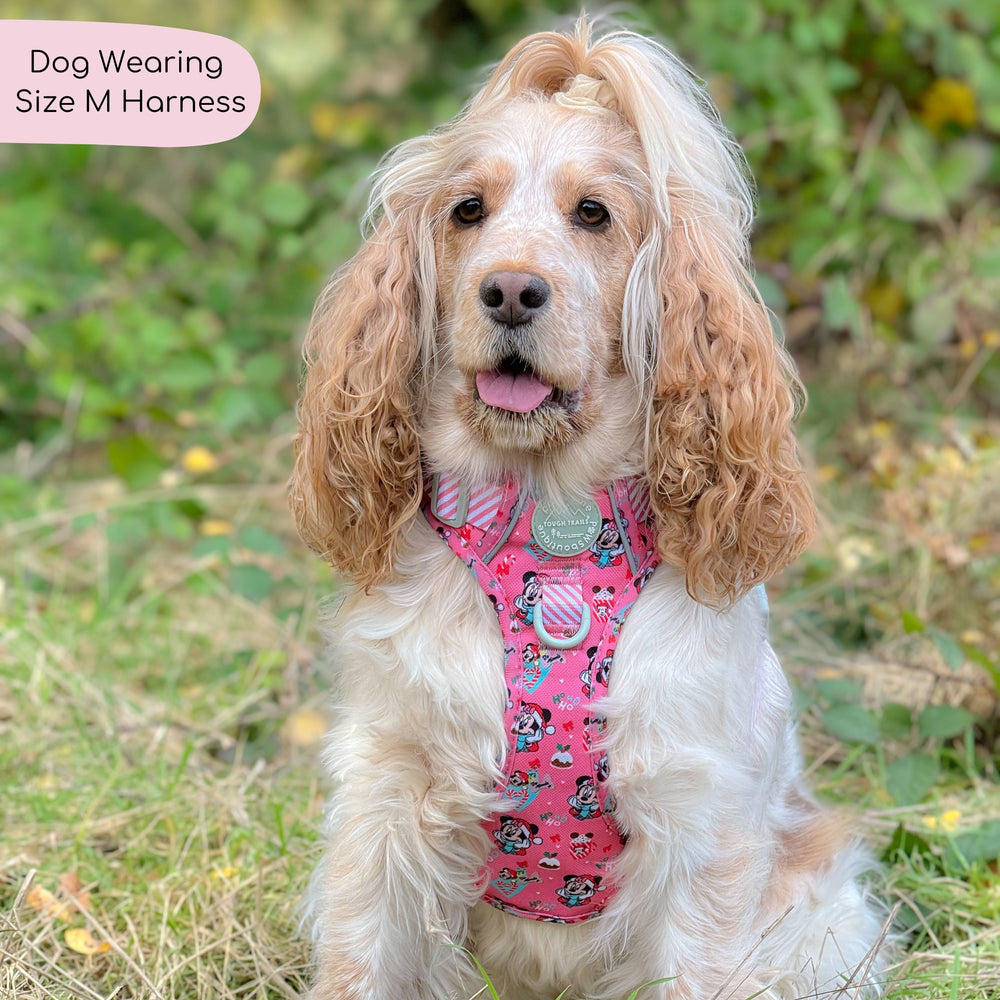 Disney© Tough Trails™ Harness -  Minnie's Christmas