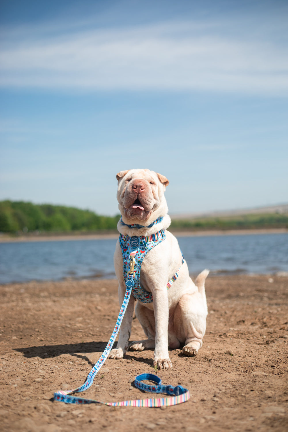 Disney© Lead - Stitch's Fruit Fiesta