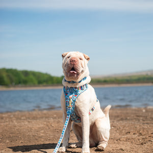 Disney© Lead - Stitch's Fruit Fiesta