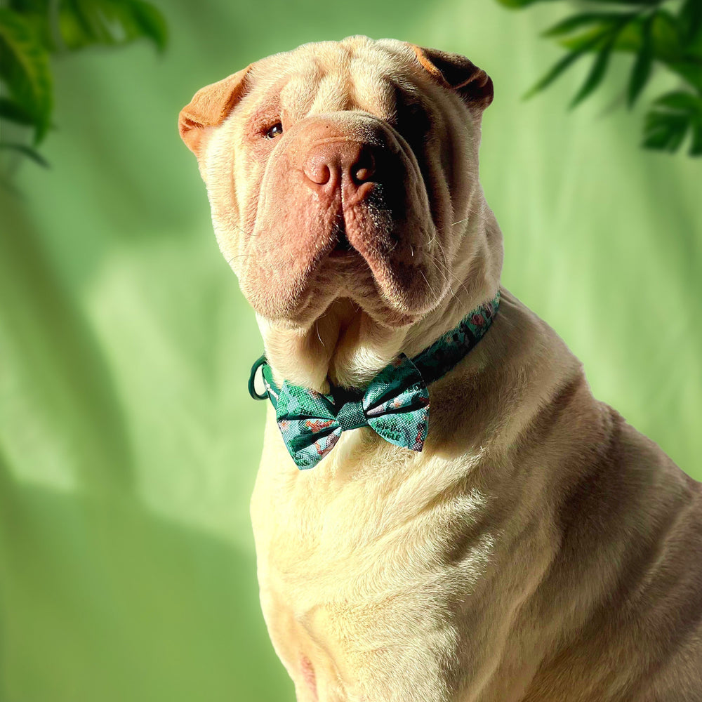 Disney© Bow Tie - Jungle Book