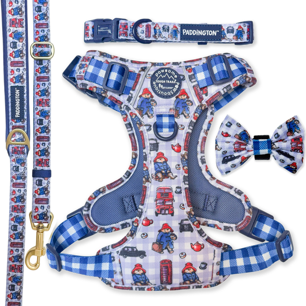 Paddington™ London Ultimate Bundle