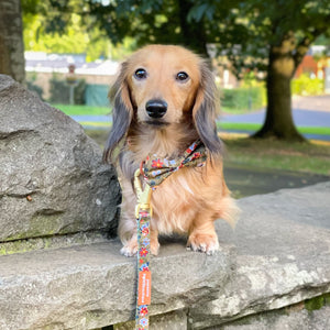 Bow Tie - Rust & Bloom