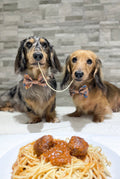 Disney© Bow Tie - Disney Dogs