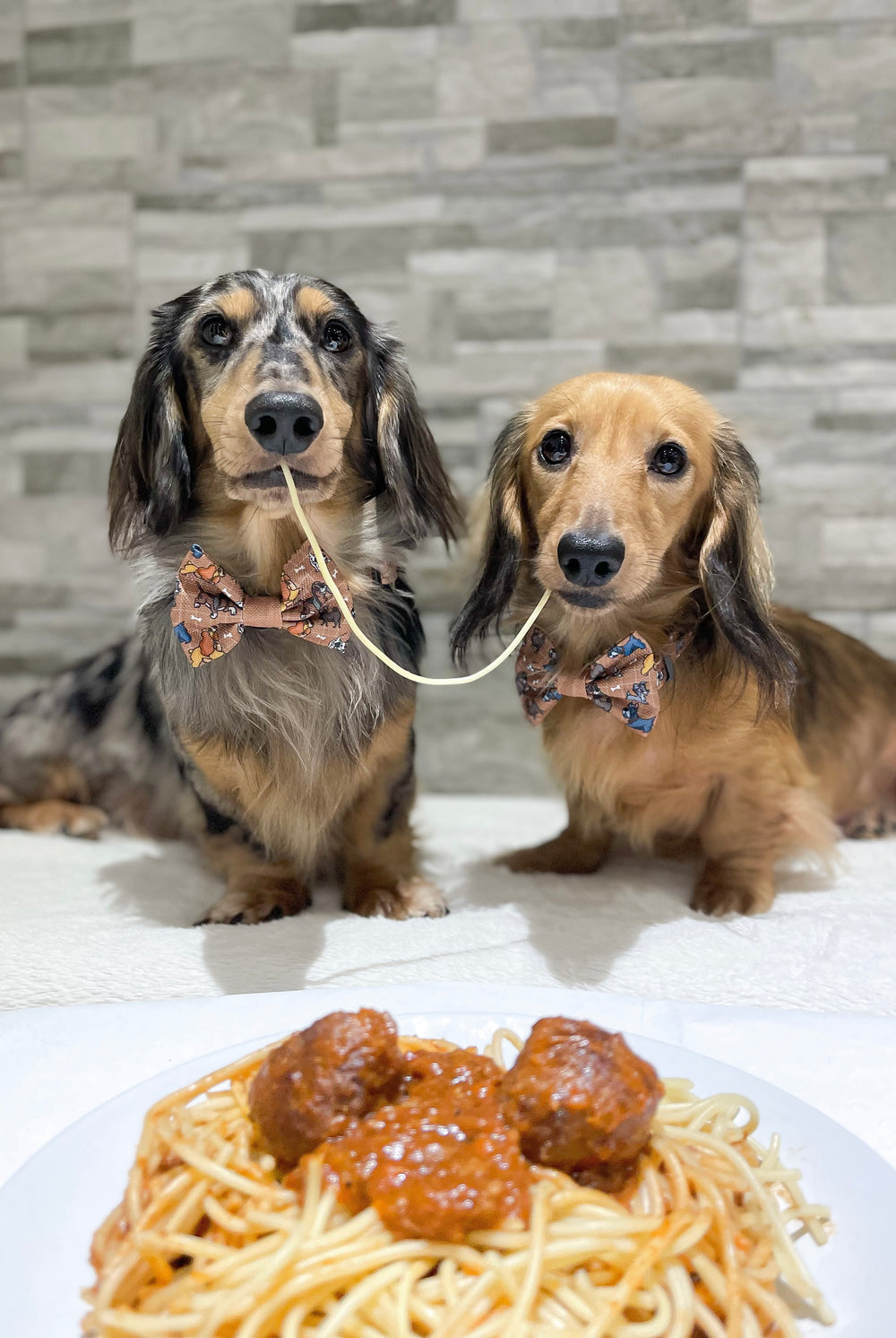 Disney© Bow Tie - Disney Dogs