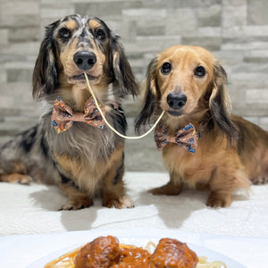 Disney© Bow Tie - Disney Dogs