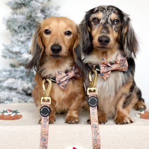 Disney© Bow Tie - Disney Dogs