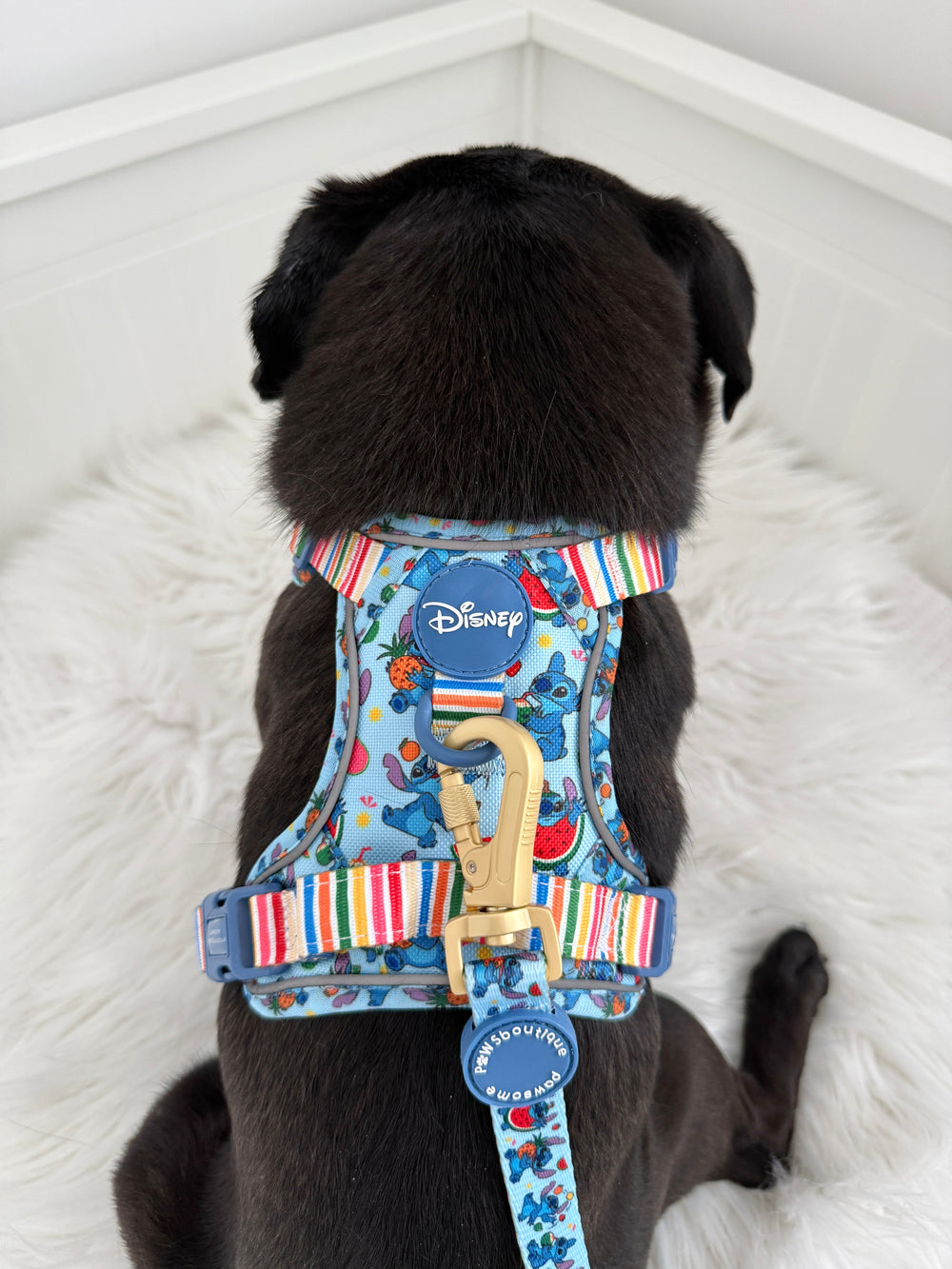 Disney© Lead - Stitch's Fruit Fiesta