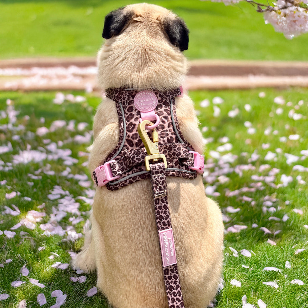 Lead - Leopard Print