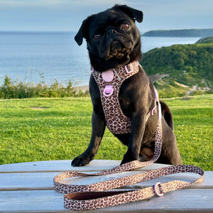 Lead - Leopard Print