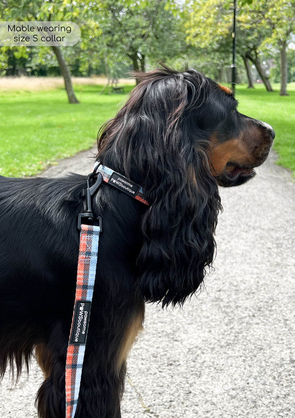 Lead - Harvest Plaid