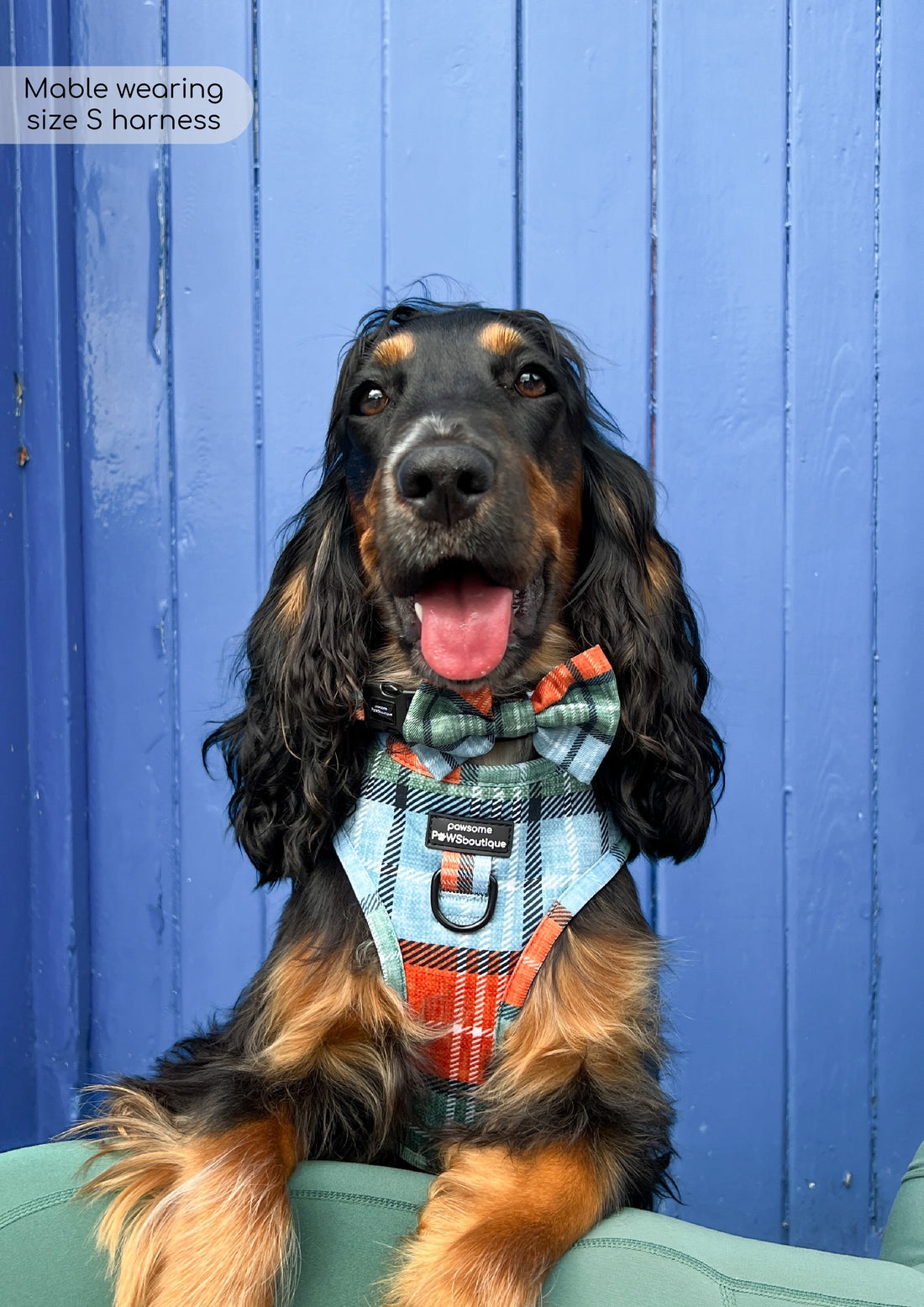 Bow Tie - Harvest Plaid