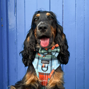 Bow Tie - Harvest Plaid