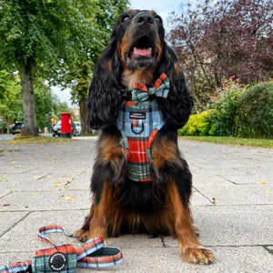 Lead - Harvest Plaid