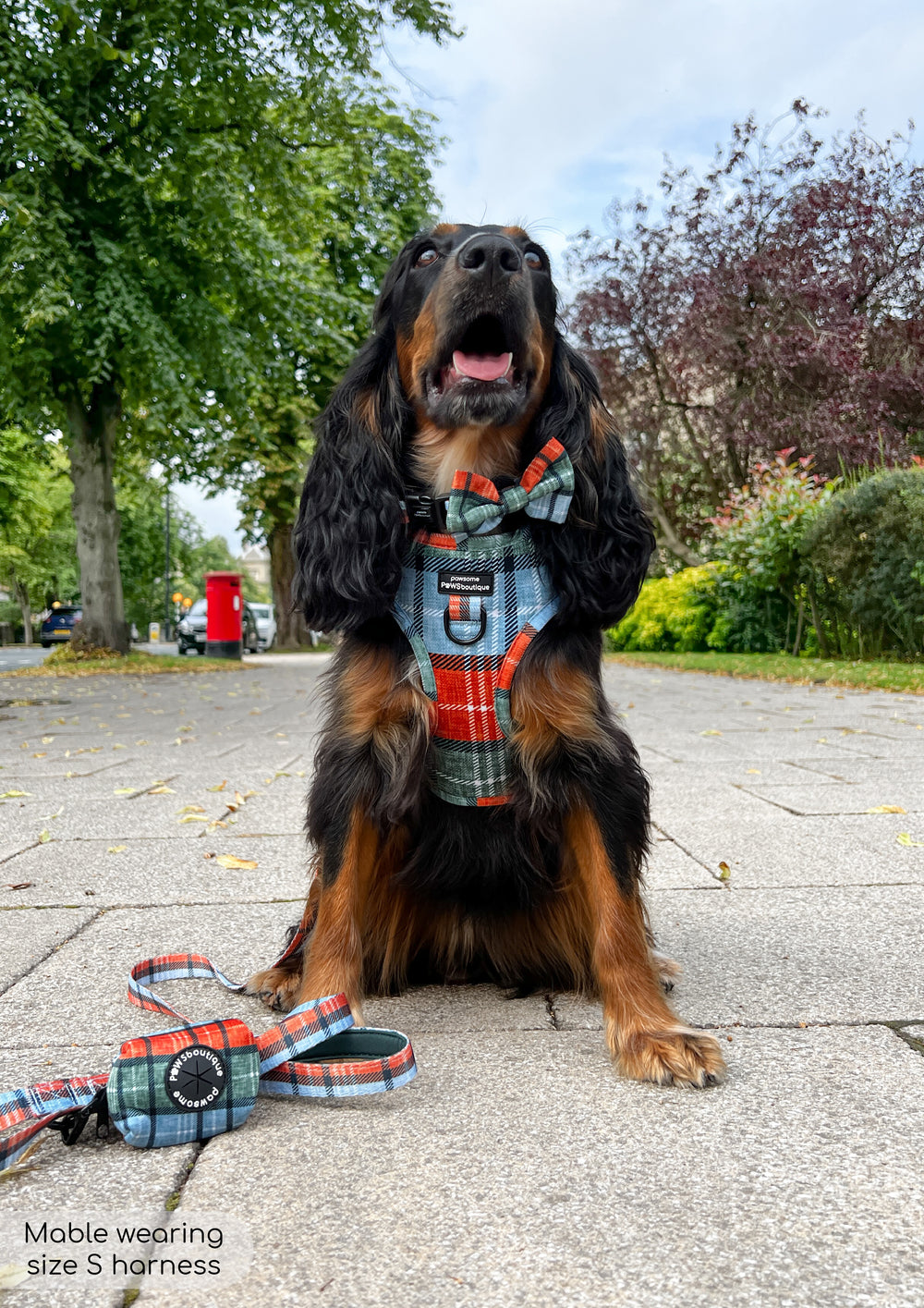 Poo Bag Holder - Harvest Plaid