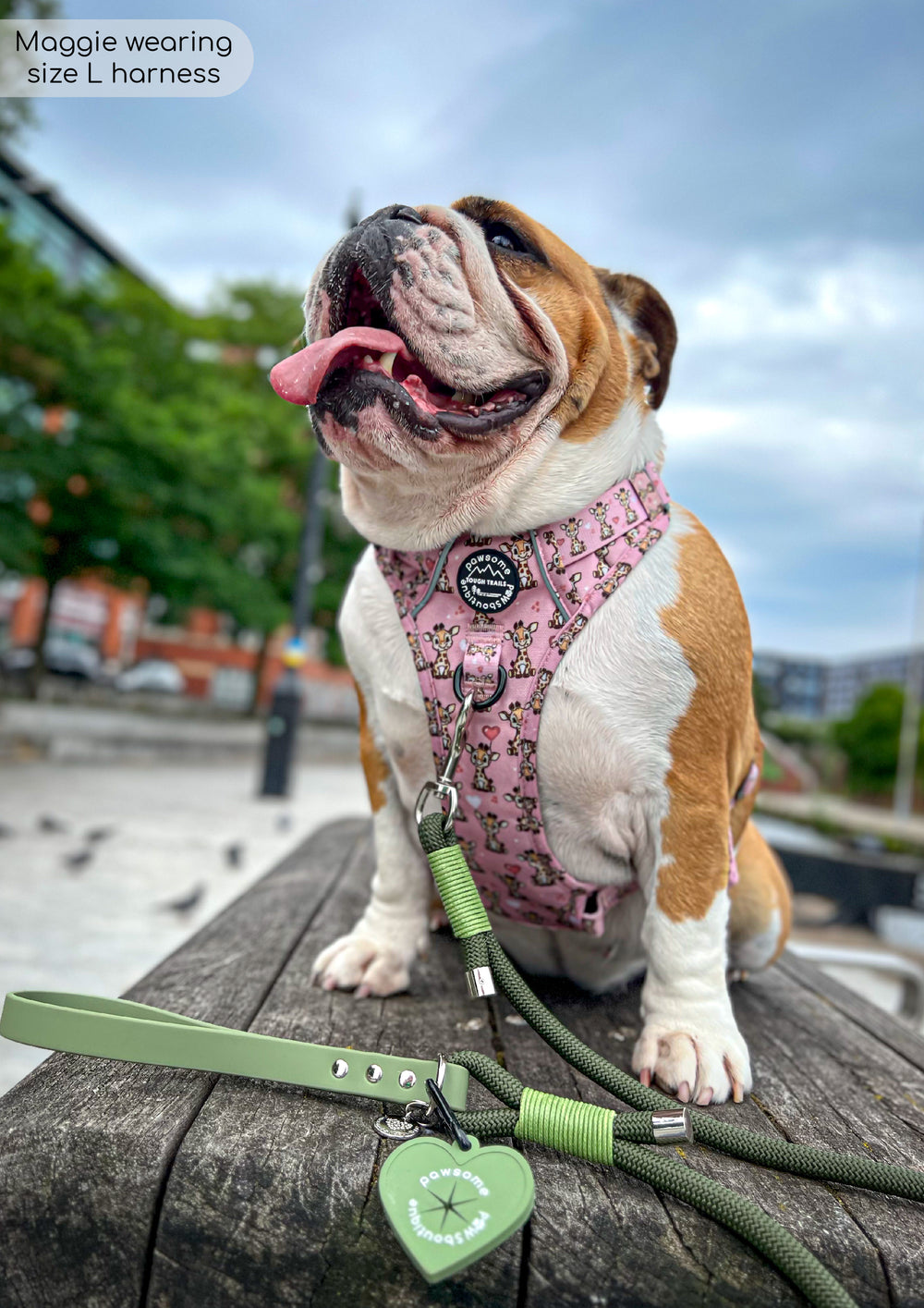 4ft Rope Lead - Khaki