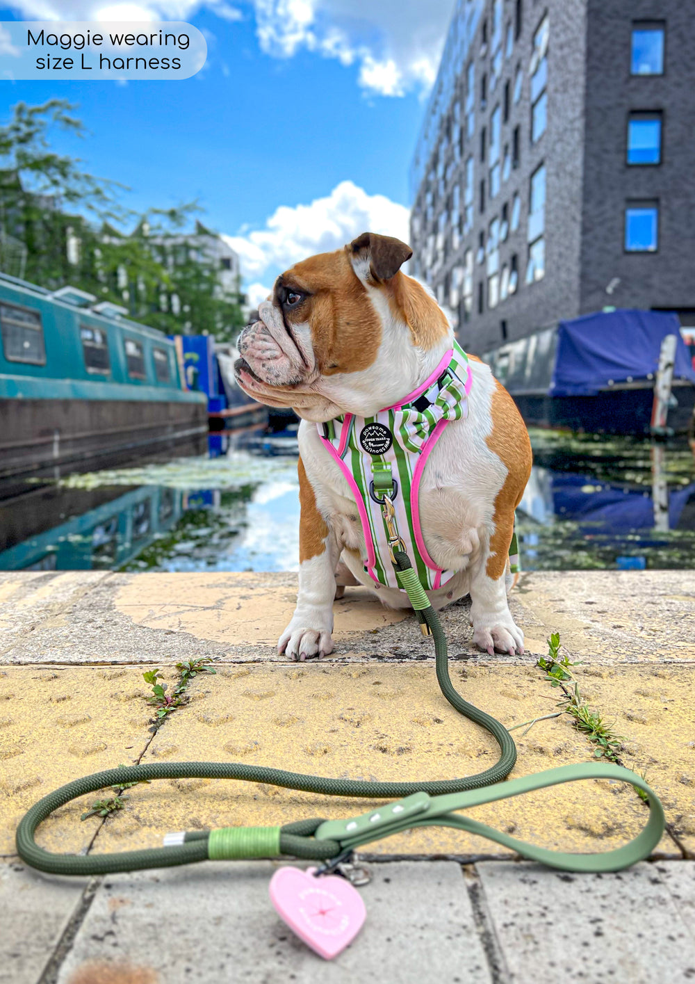 4ft Rope Lead - Khaki