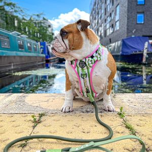 4ft Rope Lead - Khaki