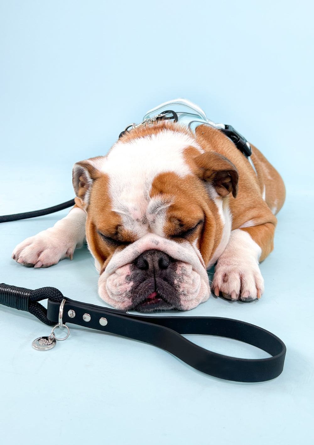 4ft Rope Lead - Black