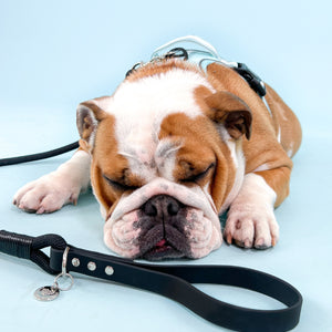 4ft Rope Lead - Black