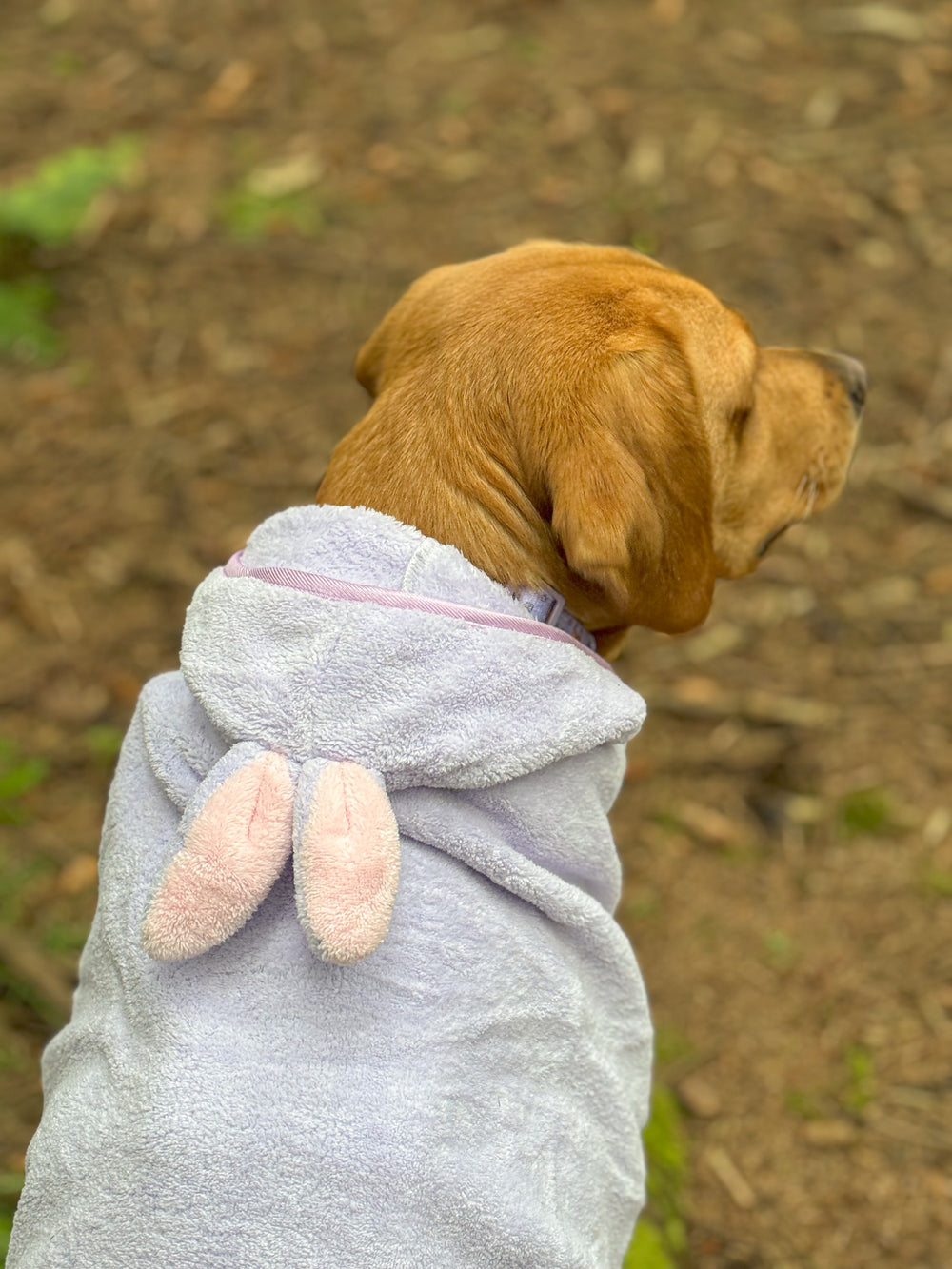Disney© Hooded Microfibre Towel - Bambi + Friends Lilac