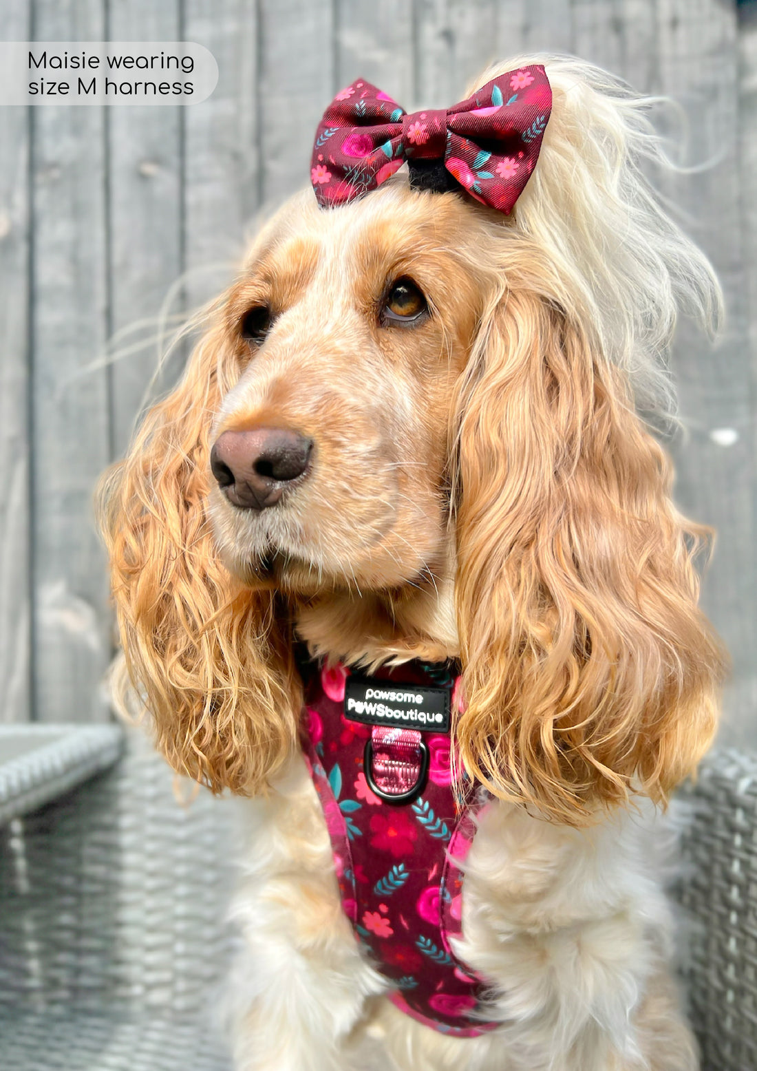 Bow Tie - Mable's Meadow